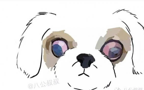 照顧生病狗狗的技巧