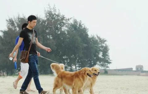 狗窩和狗墊子哪個好？