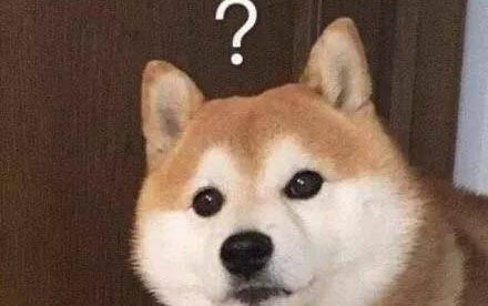 如何讓小狗能吃不胖的狗糧呢