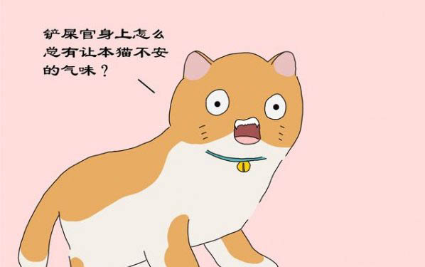 小貓一般多少天睜眼