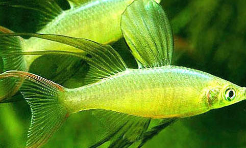 氣溫16度釣魚(yú)釣深還是釣淺