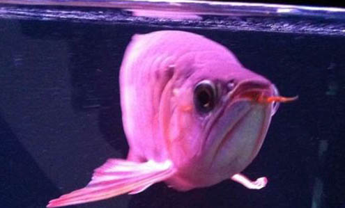 西南風(fēng)怎樣才能釣到魚