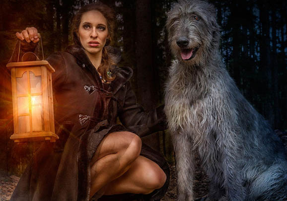 愛爾蘭獵狼犬冠狀病毒愈后注意事項