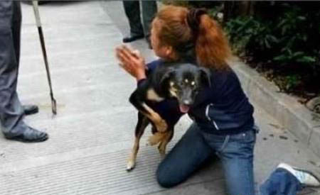 冬季犬瘟能存活多久