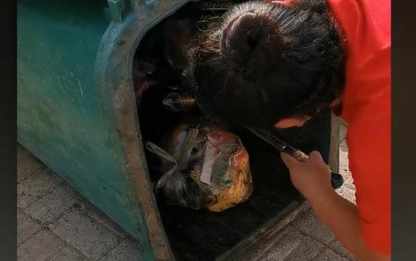 貓鼻子干嗜睡不吃東西沒有精神