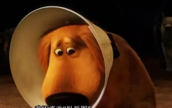 怎么清理貓咪身上的跳蚤屎