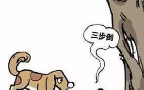 狗脫水多久會死