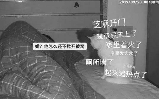小貓只打噴嚏精神也好