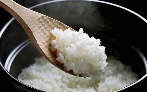 一個(gè)月大的狗狗怎么訓(xùn)練定點(diǎn)大小便