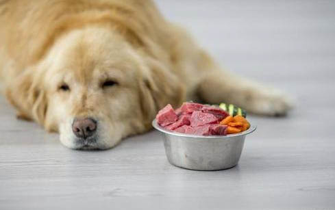 狗狗皮膚有傷口涂什么藥可以愈合