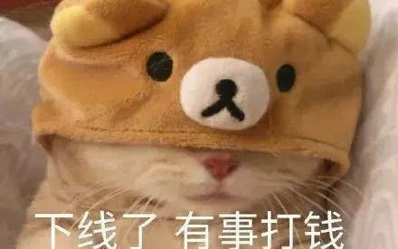 貓貓可以持續(xù)幾天不吃東西