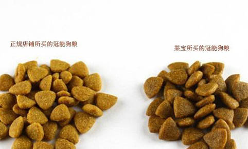 關(guān)于狗狗喝水