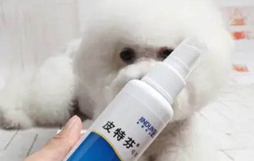 狗狗拉稀可以打疫苗嗎?