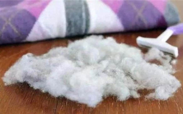 貓懷孕吐什么原因？