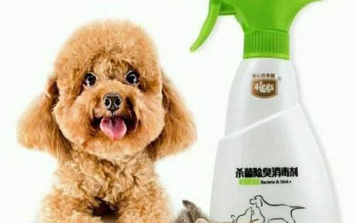 中國禁養哪些犬種