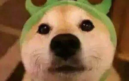 狗狗為什么攤開肚子啊