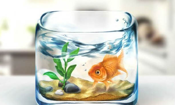 熱帶魚眼睛鼓起來了