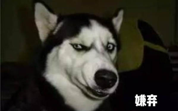 狗的種類有哪些