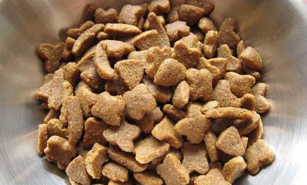 國產狗糧口碑比較好的十大品牌