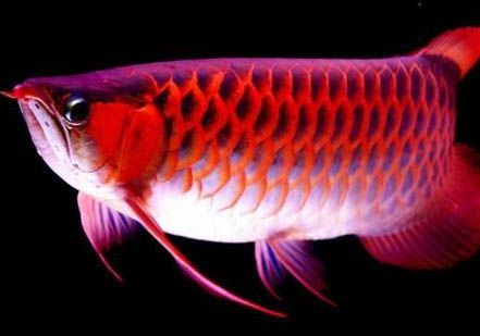 冬季15度左右適合釣魚嗎