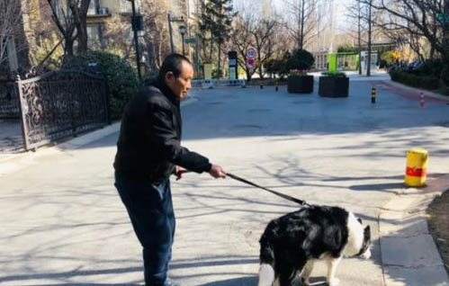 第二針疫苗后可以遛狗嗎