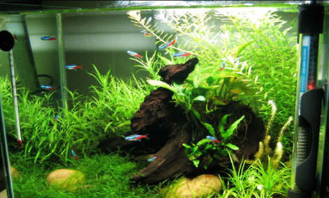 秋季釣魚氣壓多少適合釣魚