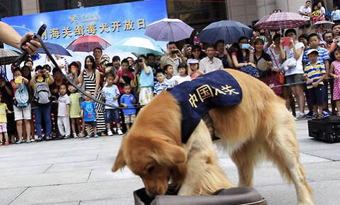 狗狗跑了沒回來