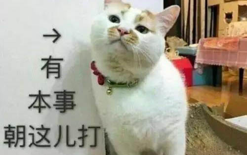 貓咪喝酸奶流眼淚是怎么回事