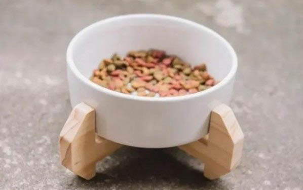 貓咪為什么會(huì)真菌感染呢