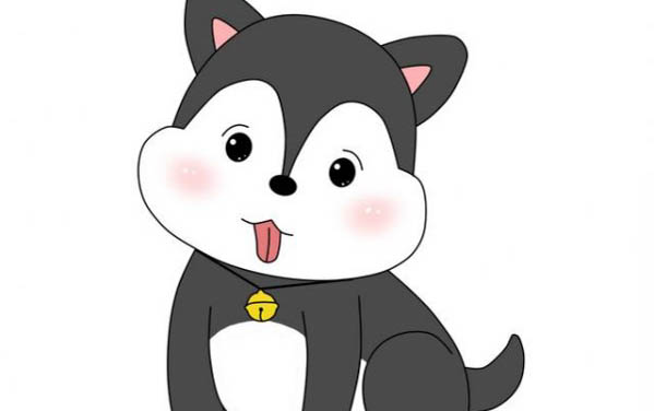 犬瘟好轉跡象有哪些表現