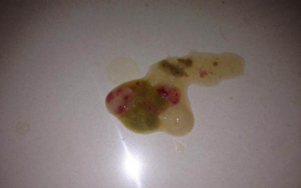狗狗去淚痕小妙招