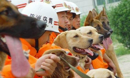 給搜救犬起個霸氣名字